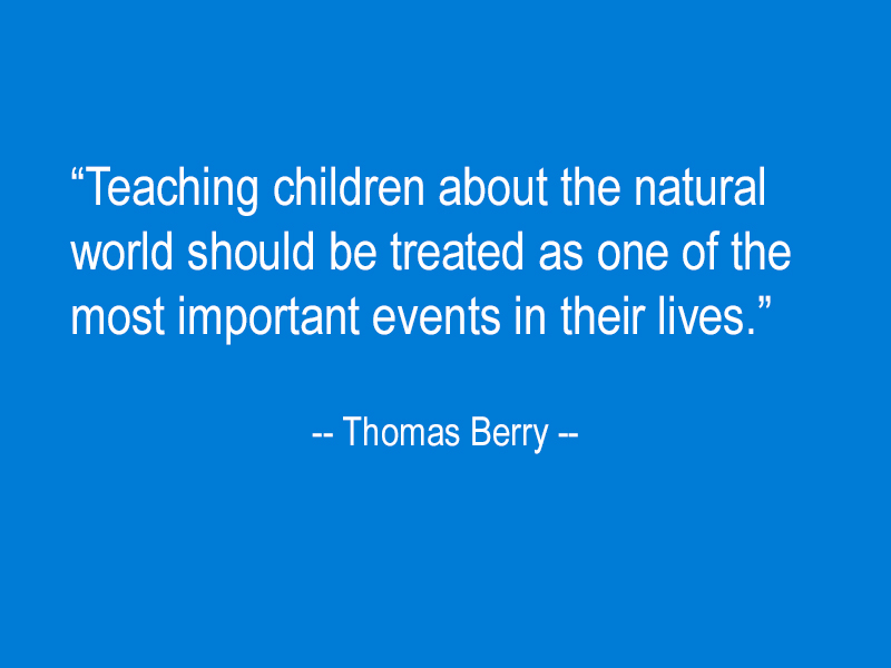 A quote about teaching children about the natural world