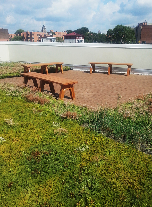 BRAC Green Roof Row 4 left