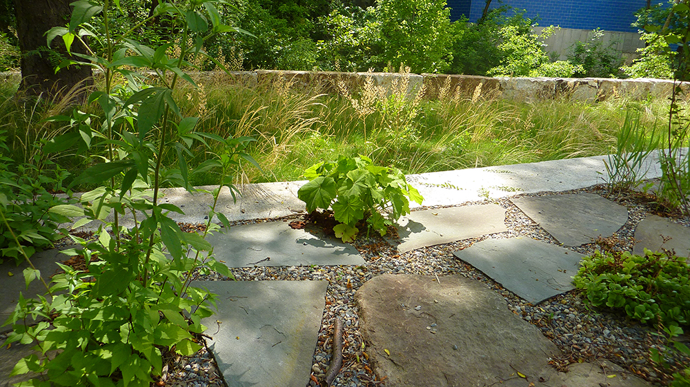 A view of a garden